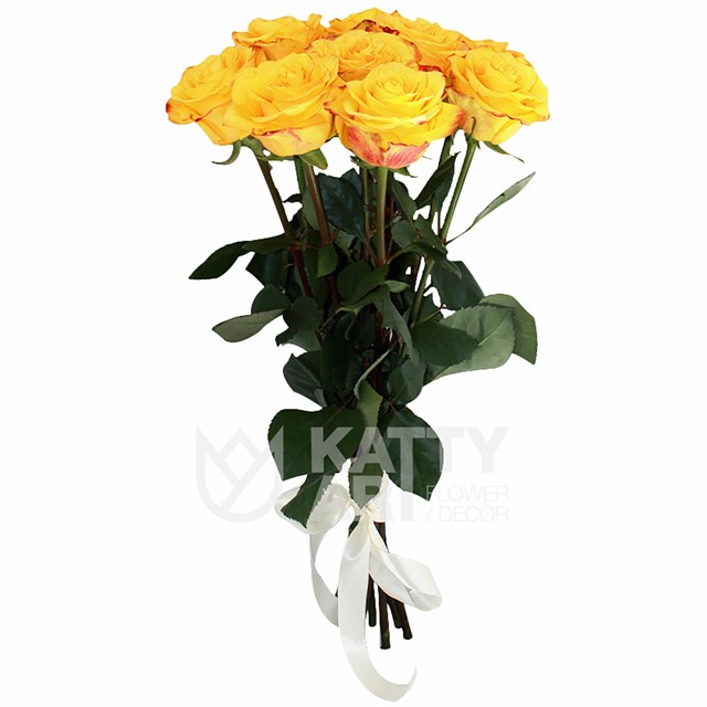 Букет из 9 желтых роз 60см(Эквадор) - фото 5499