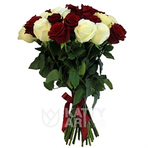 Букет из белых и красных роз 60см (Эквадор) 35шт.