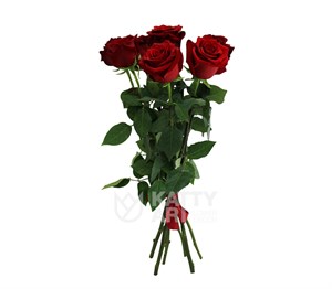 Букет из 7 красных роз 1м  (Эквадор)
