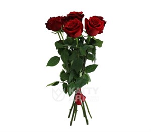 Букет из 21 красной розы 1м  (Эквадор)