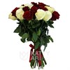 Букет из белой и красной розы 60см(Эквадор) 101шт. - фото 5318