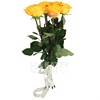Букет из 101 желтой розы 60см(Эквадор) - фото 5580