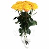 Букет из 101 желтой розы 60см(Эквадор) - фото 5581