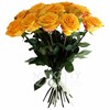 Букет из 101 желтой розы 60см(Эквадор) - фото 5583