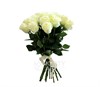 Букет из белых роз 60см (Эквадор)  7 шт. - фото 5593