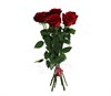 Букет из 25 красных роз 1м  (Эквадор) - фото 5798