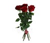 Букет из 11 красных роз 1м  (Эквадор) - фото 7206