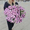 Букет из пионовидных  тюльпанов 101шт - фото 9189
