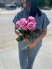 Букет из фиолетовых роз 60см(Эквадор)  7 шт. - фото 9281