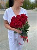 Букет из красных роз 60см (Эквадор) 7шт. - фото 9304