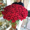 Букет из красных роз 60см(Эквадор)  9шт. - фото 9310