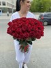 Букет из красной розы 60см (Эквадор) 51шт. - фото 9387